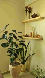 شلف ساده پهنا ۴