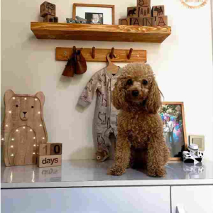 هنگر چوبی آویز اریب عرض ۹ سانت